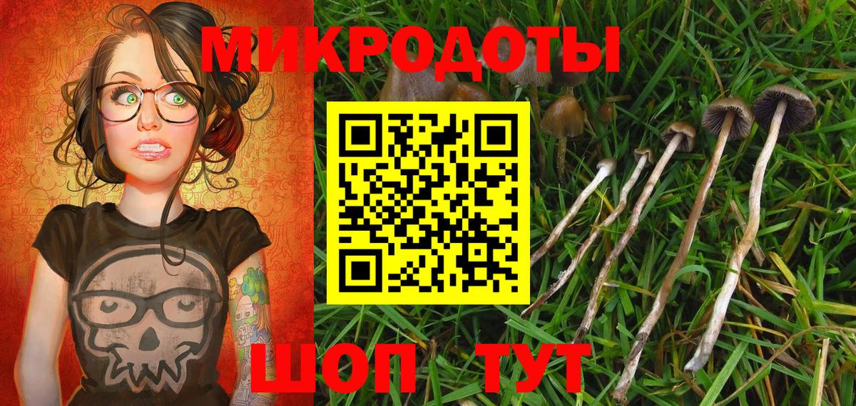 Псилоцибиновые грибы Psilocybine cubensis  Вход с VPN  Зеленодольск 